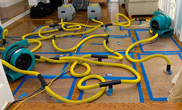Professional Basement Flood Cleanup technician working in Schaefferstown, PA